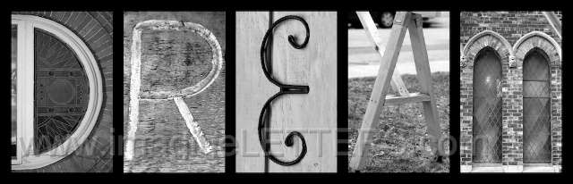 Wall_Art_Alphabet_Photography_Art_ 488.jpg
